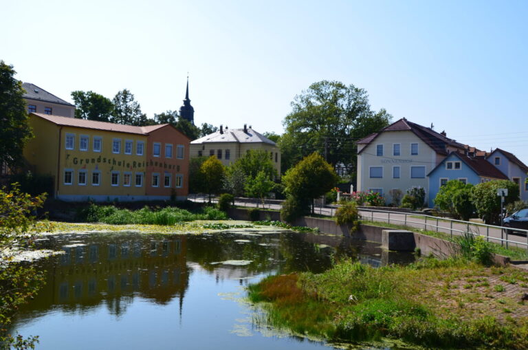 DSC 0112 scaled 1 1 768x509