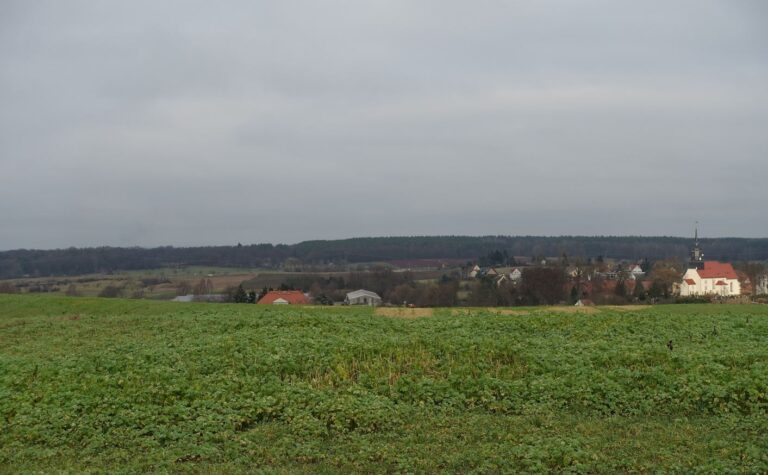 Vogelgruendchen 768x475