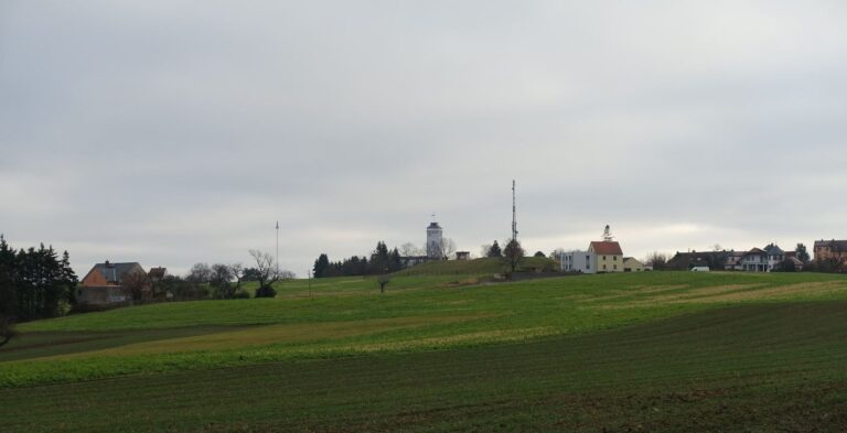 Vogelgruendchen2 768x393