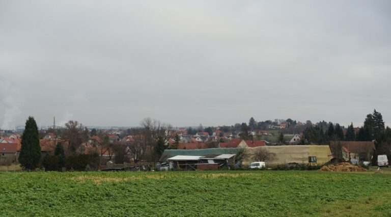 Vogelgruendchen3 768x426