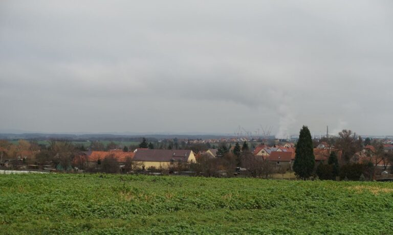 Vogelgruendchen4 768x460